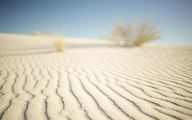 一张美味的图片 &middot; #1409