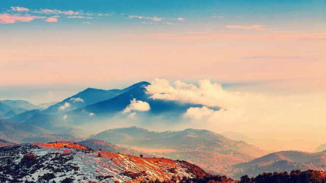 一张美味的图片 &middot; #2582