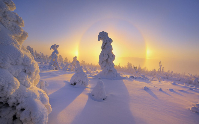 一张美味的图片 &middot; #2043