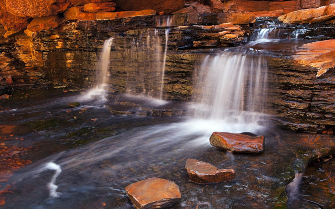 一张美味的图片 &middot; #1411