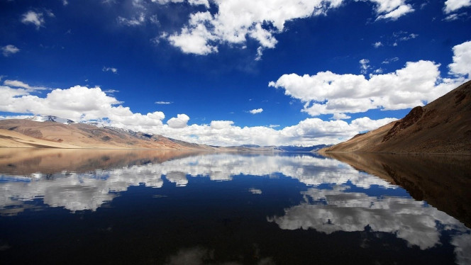一张美味的图片 &middot; #2736