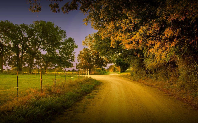 一张美味的图片 &middot; #3293
