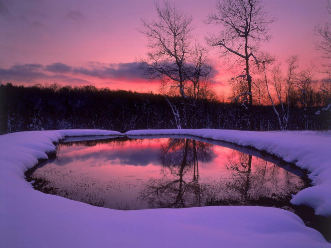 A Delicious image &middot; #883