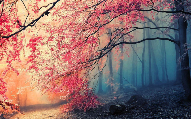 A Delicious image &middot; #1825