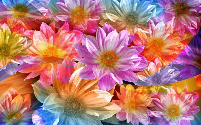 A Delicious image &middot; #5429