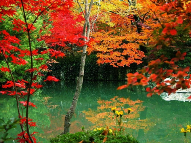 A Delicious image &middot; #837
