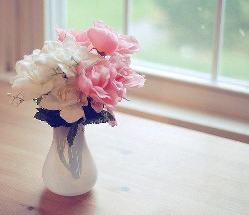 A Delicious image &middot; #5419