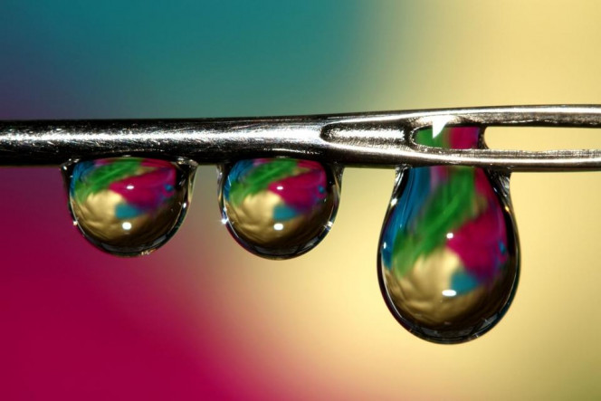 A Delicious image &middot; #2853