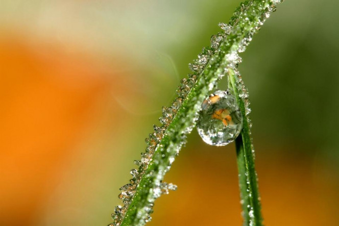 A Delicious image &middot; #2875