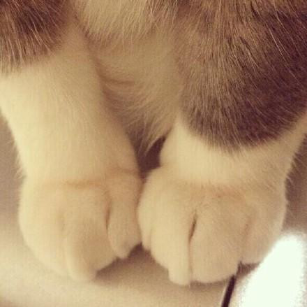 A Delicious image &middot; #5430