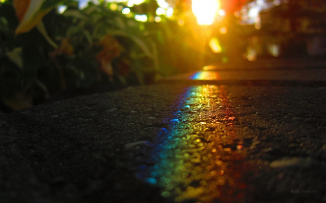 A Delicious image &middot; #662