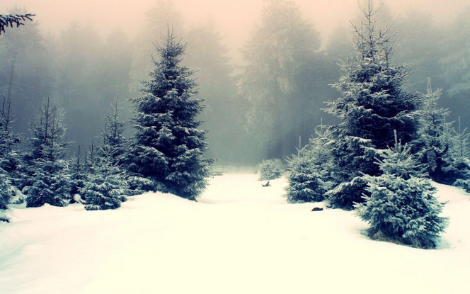 A Delicious image &middot; #4389