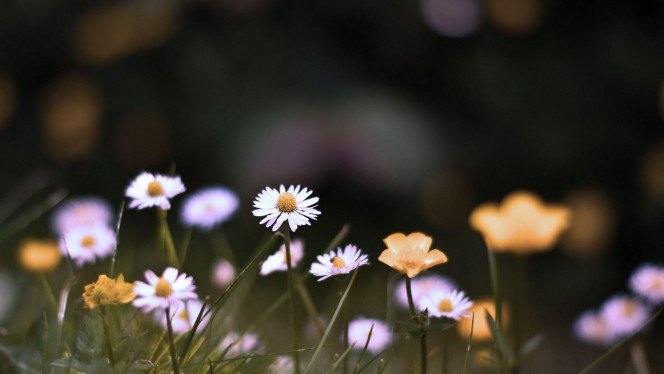 A Delicious image &middot; #2398