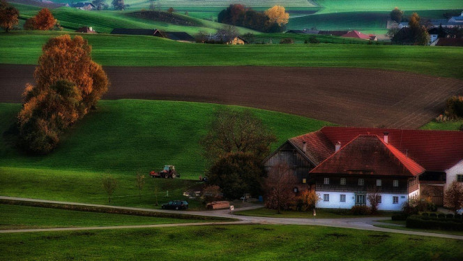 A Delicious image &middot; #4409