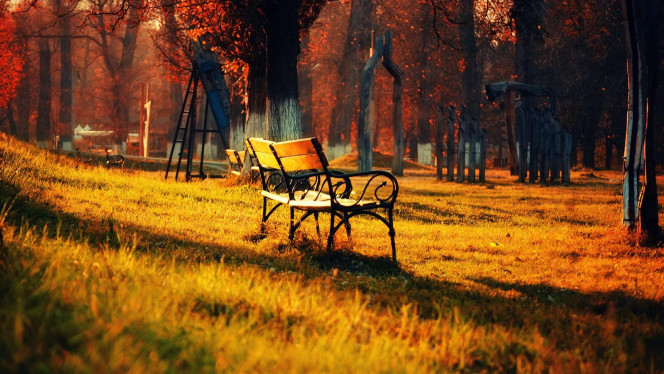 A Delicious image &middot; #657