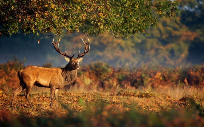 A Delicious image &middot; #4014