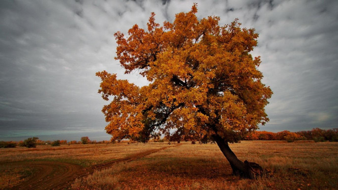 A Delicious image &middot; #3562