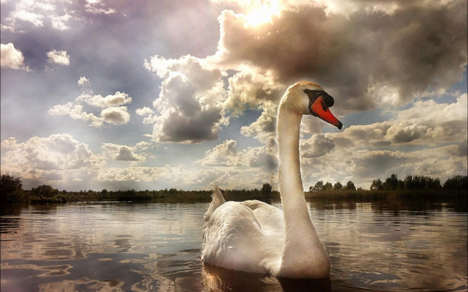 A Delicious image &middot; #2824
