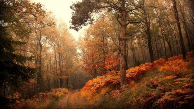 A Delicious image &middot; #3315