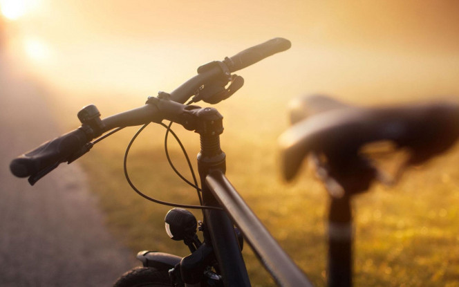 A Delicious image &middot; #1722