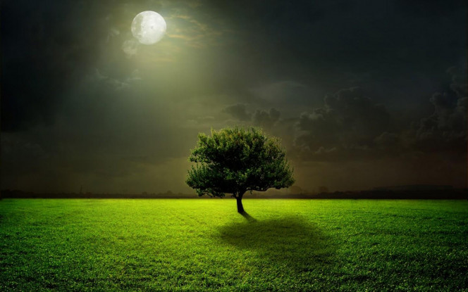 A Delicious image &middot; #3662