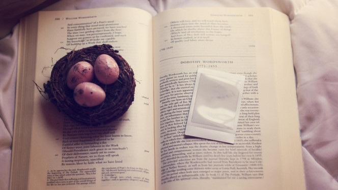 A Delicious image &middot; #2139