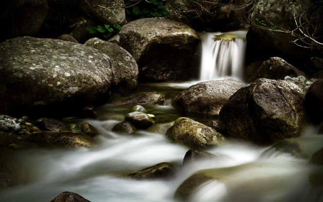A Delicious image &middot; #1351