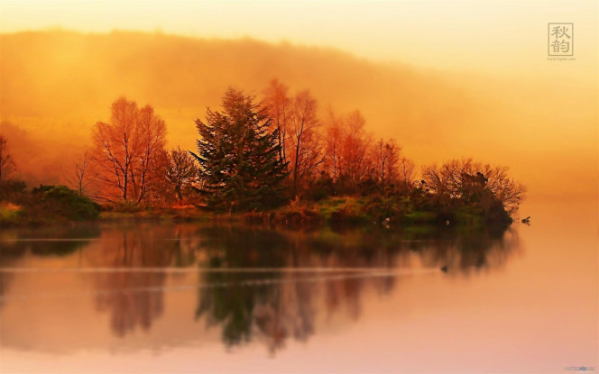 A Delicious image &middot; #4044