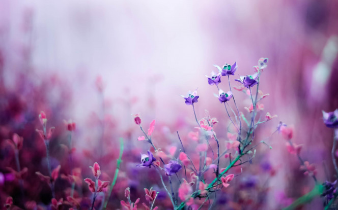 A Delicious image &middot; #5097