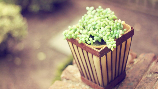 A Delicious image &middot; #3467