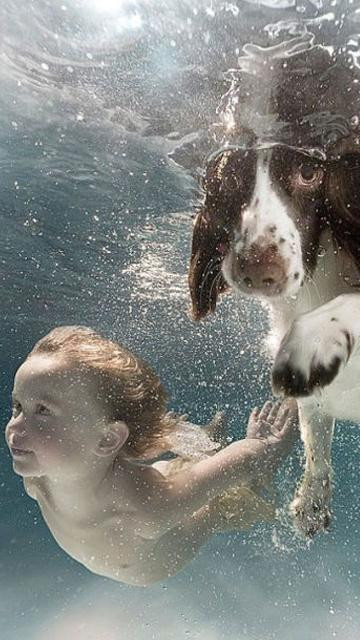 A Delicious image &middot; #321