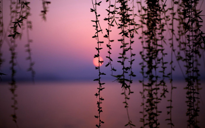 A Delicious image &middot; #1024