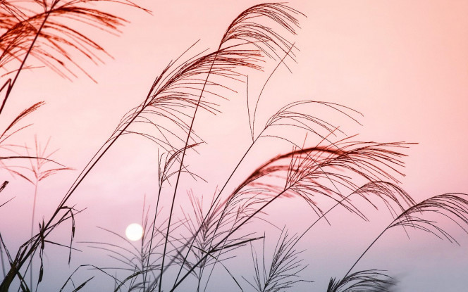 A Delicious image &middot; #643