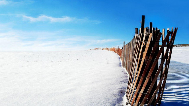 A Delicious image &middot; #3638