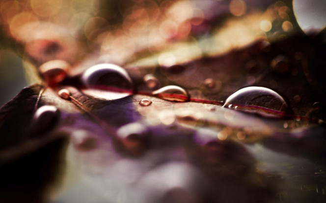 A Delicious image &middot; #454