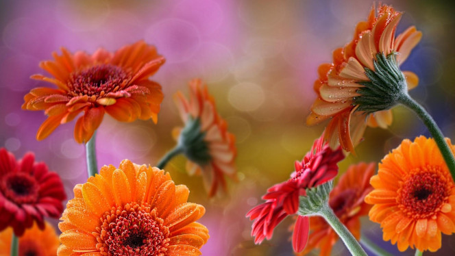 A Delicious image &middot; #3962
