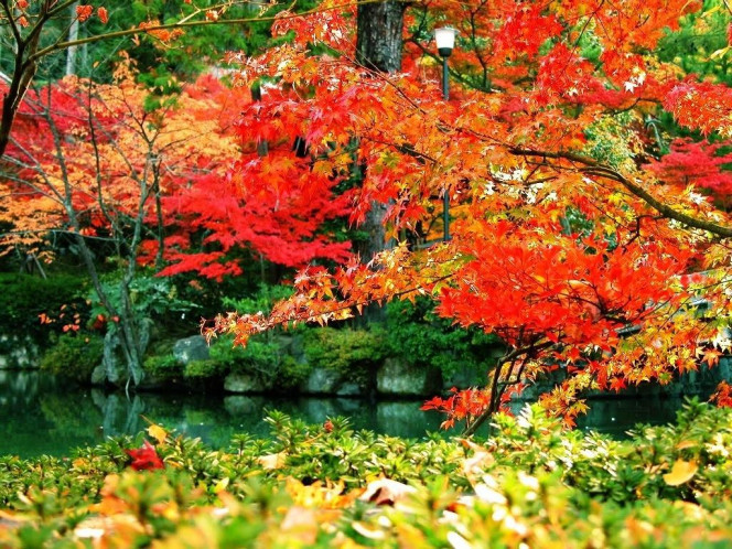 A Delicious image &middot; #1642
