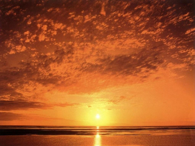 A Delicious image &middot; #913