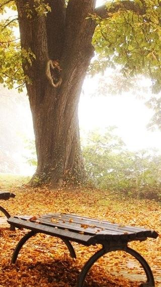 A Delicious image &middot; #157
