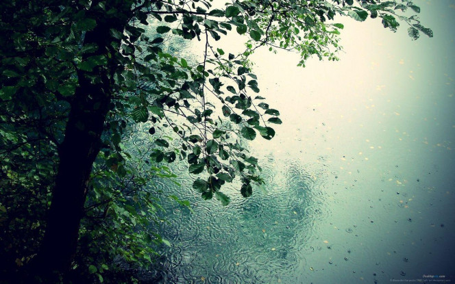A Delicious image &middot; #3059