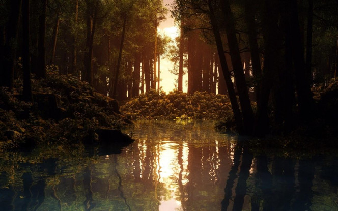 A Delicious image &middot; #814