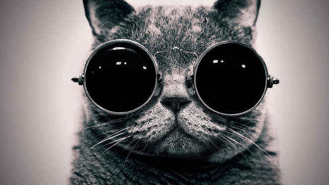 A Delicious image &middot; #346