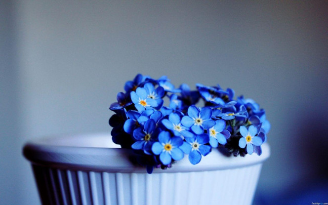 A Delicious image &middot; #3561