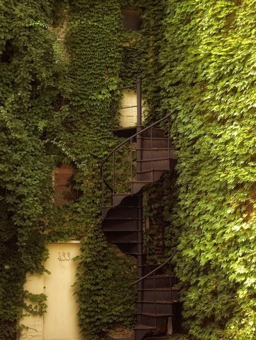 A Delicious image &middot; #238
