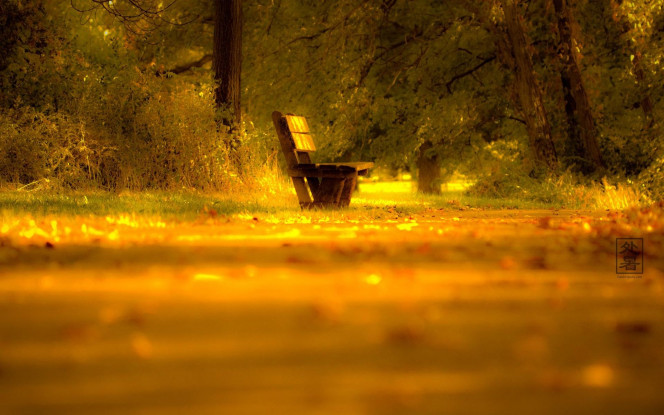 A Delicious image &middot; #2008