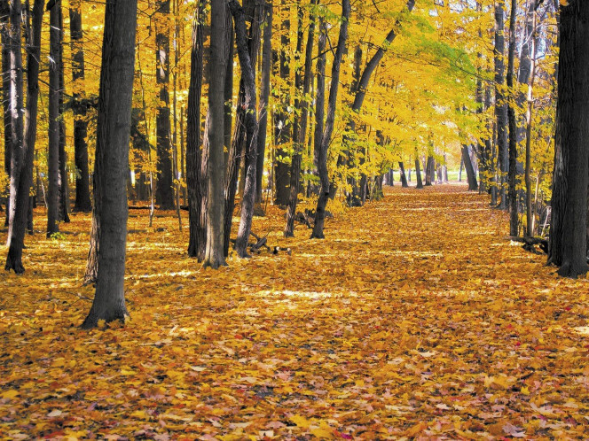 A Delicious image &middot; #929