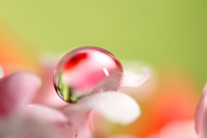A Delicious image &middot; #2873