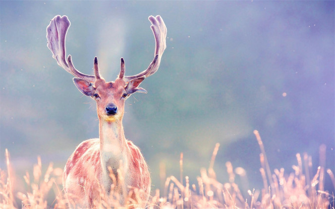 A Delicious image &middot; #4050