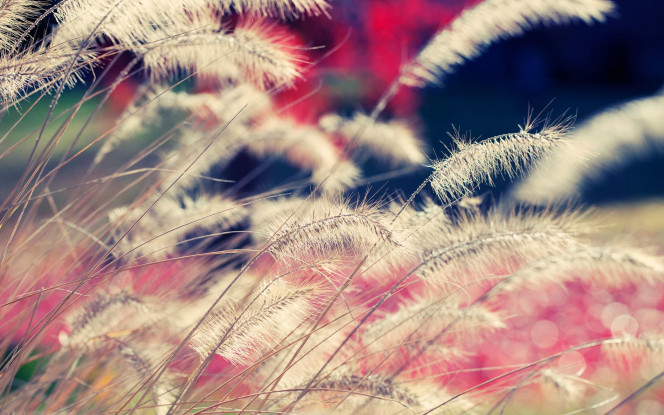 A Delicious image &middot; #18