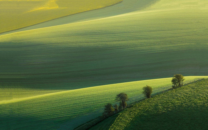 A Delicious image &middot; #4337